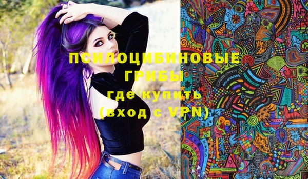 а пвп мука Гусиноозёрск