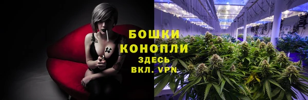 a pvp Горнозаводск
