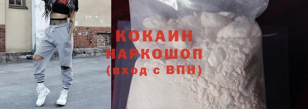 шишки Гусев