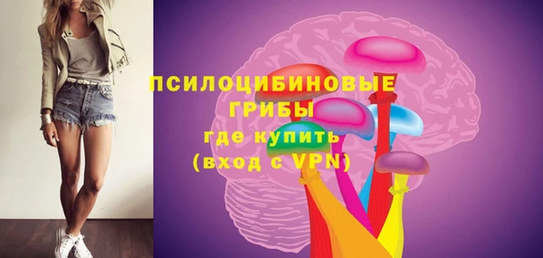 шишки Гусев