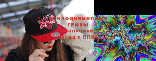 шишки Гусев