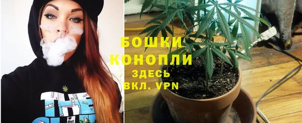 шишки Гусев