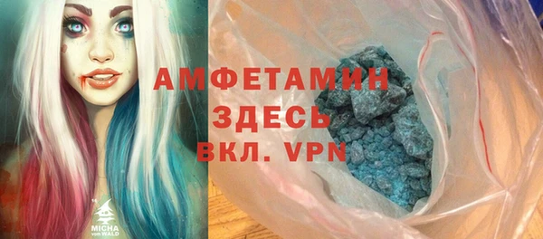 шишки Гусев